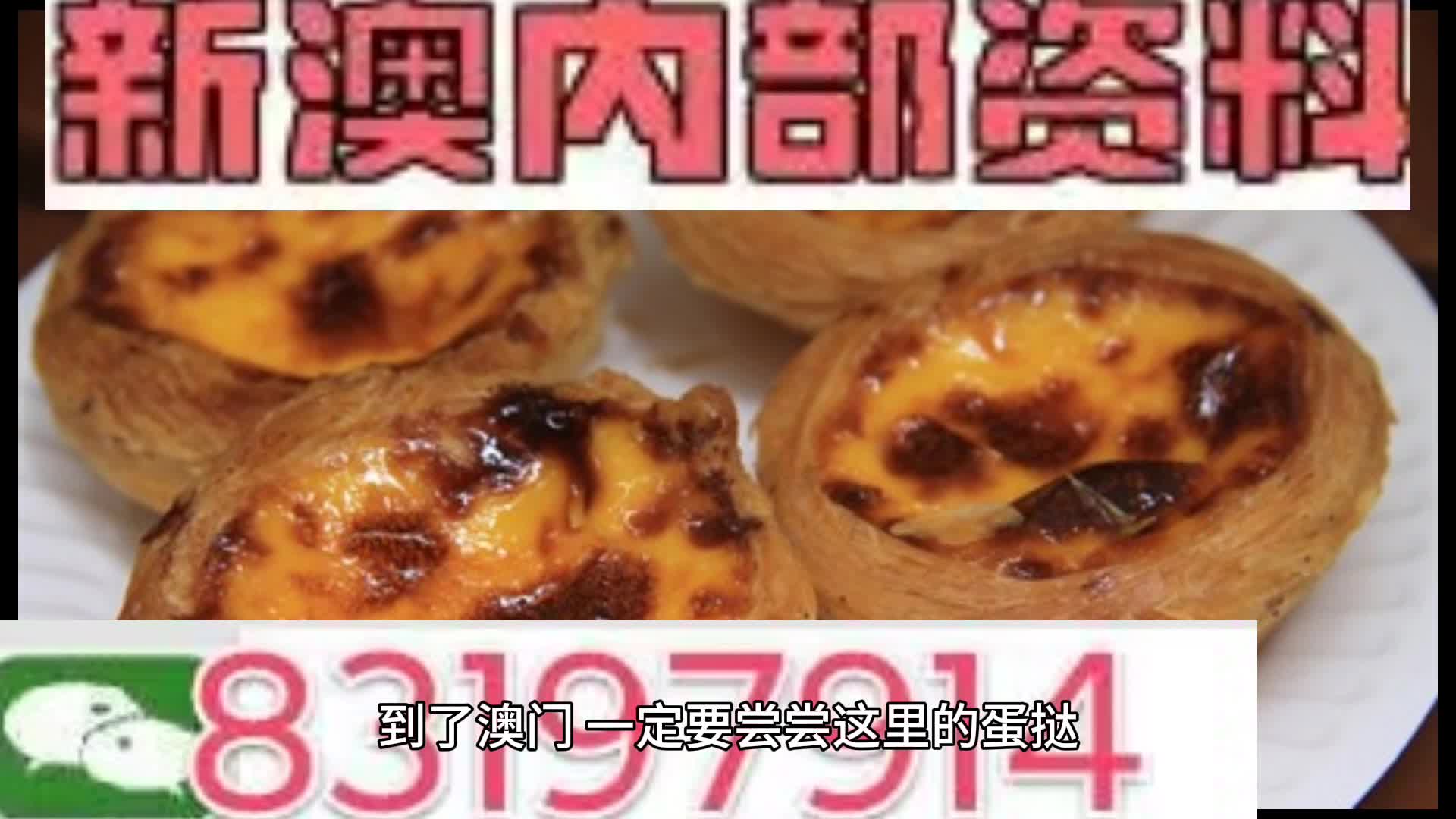 新澳门资料大全正版资料与惠顾释义，深度解析与落实行动