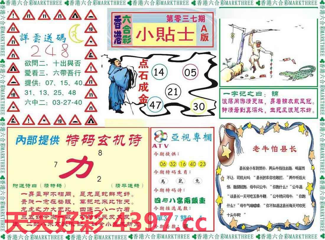 二四六天好彩944cc资料大公开与权接释义解释落实