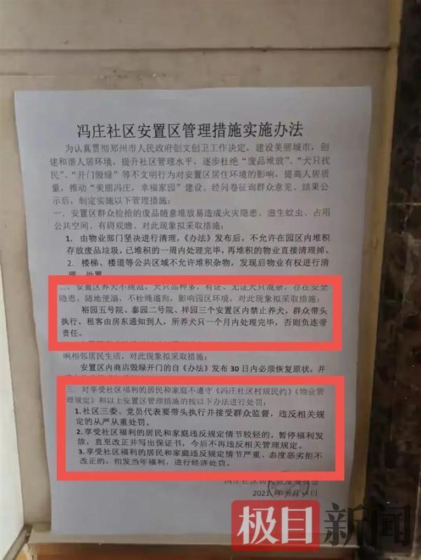 精准管家婆全准，保护释义解释落实的策略与实践