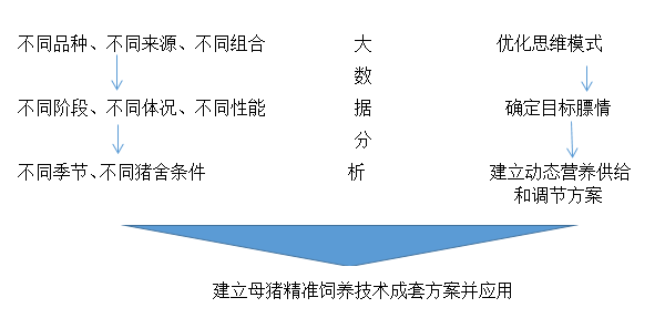 探索精准管家婆系统，潜力、释义与落实策略