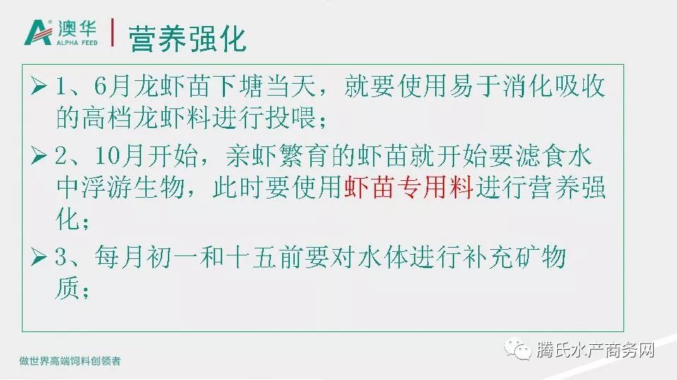 新澳精准资料免费提供与落实，吸收释义，共创共享价值