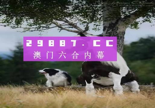 澳门精准四不像正版，细腻释义解释与落实策略探讨