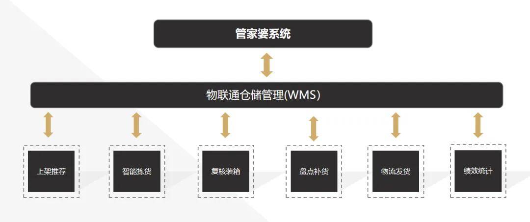 管家婆一码一肖链，解释与落实的探讨