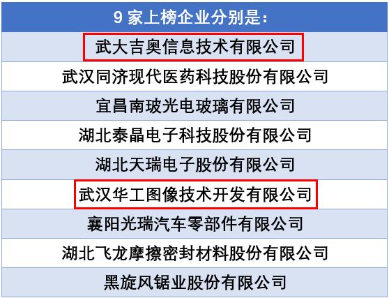 澳门今晚特马开什么，探索未知与理解落实的重要性