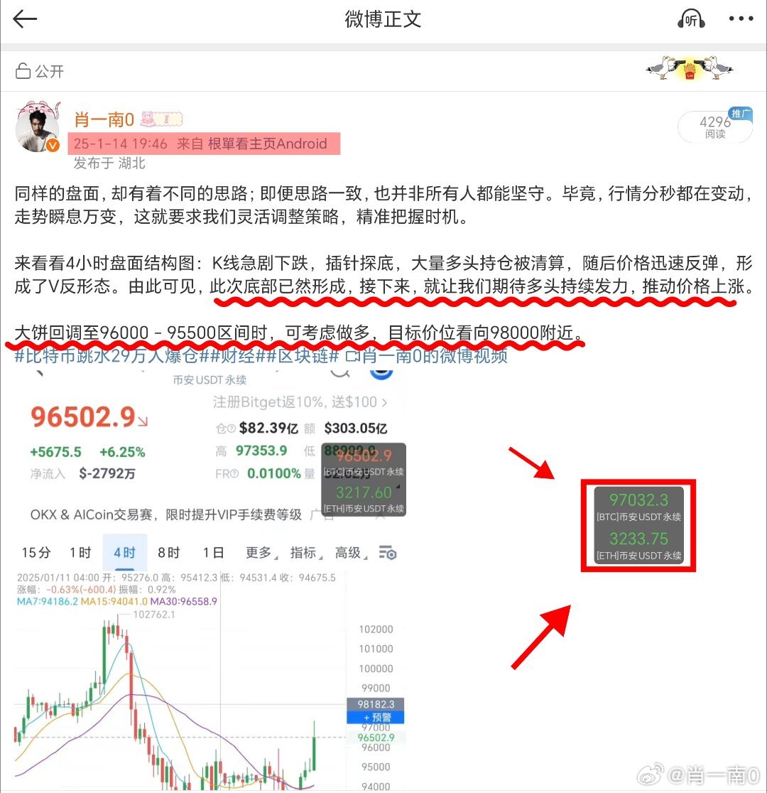 一肖一码，深度解读与精准落实的探讨