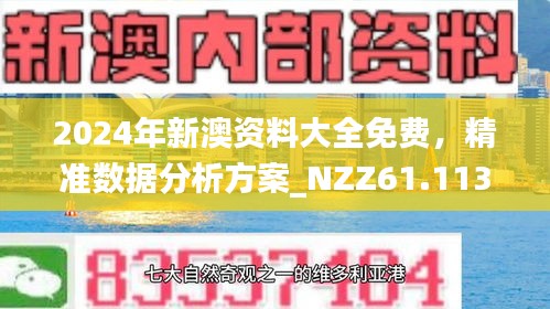 新澳正版全年免费资料公开与权力释义解释落实的探讨