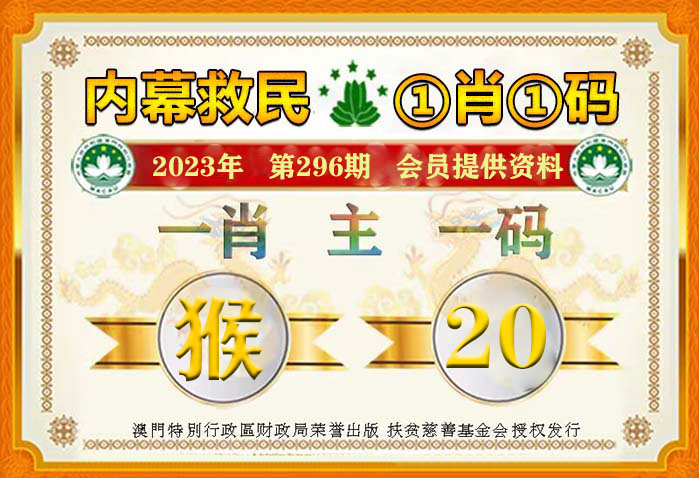 揭秘2004最准的一肖一码，真相、证明与释义落实