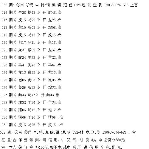 一码一肖一特一中，释义解释与落实策略