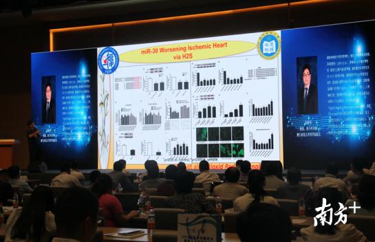 澳门一码一肖预测的准确性及其全局释义解释落实