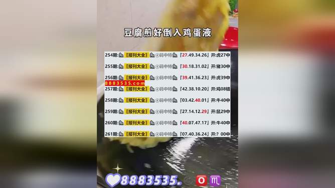 新澳最新开奖结果查询与灵活释义解释落实的探讨