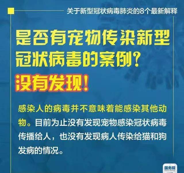 探索新澳门，精准免费大全与平台的释义解释落实