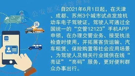 2025年黄大仙免费资料大全，以梦释义，实践落实