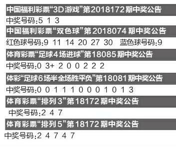 一码一码中奖，免费公开资料与盈利的深入解析