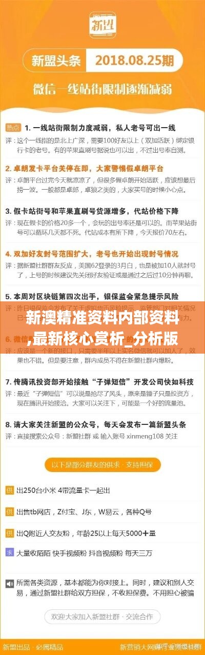 新澳精准资料期期精准，官方释义解释落实的深度探讨