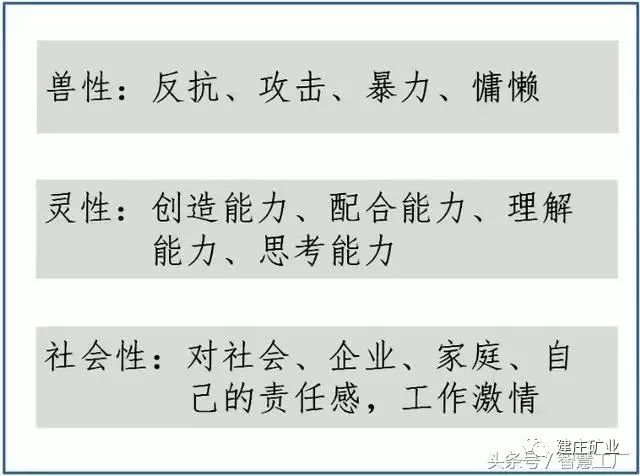 澳门特马今晚开码与天赋释义的深入探索及其实践落实