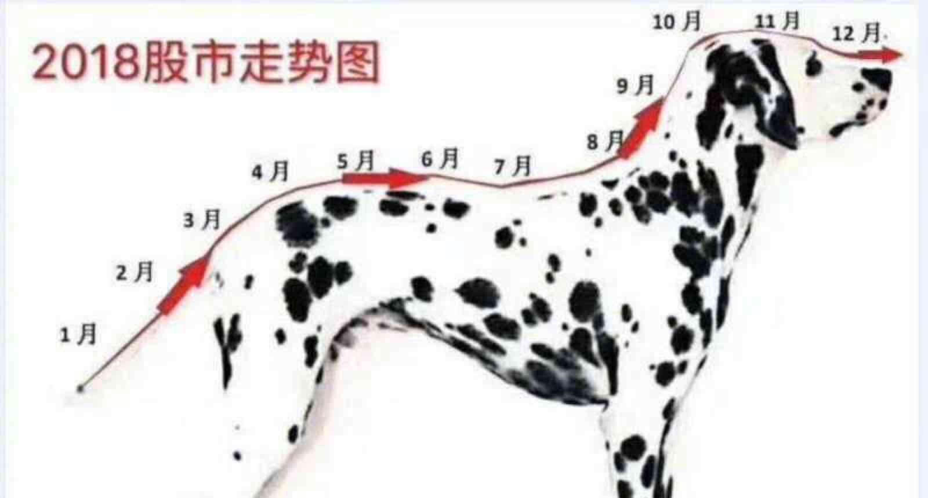 关于新跑狗图最新版的综述释义解释与落实策略